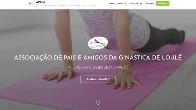 APAGL - Desenvolvimento de Website e SEO da VORX Digital